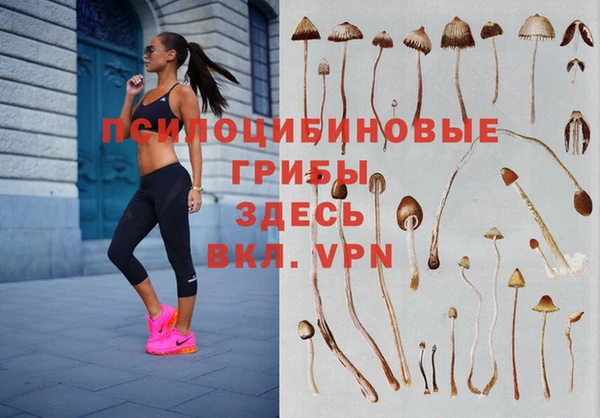 метадон Михайловка