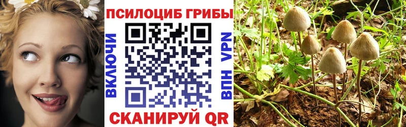 MEGA ТОР  Задонск  Псилоцибиновые грибы мицелий 